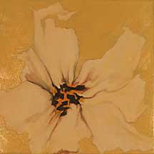 White Poppy